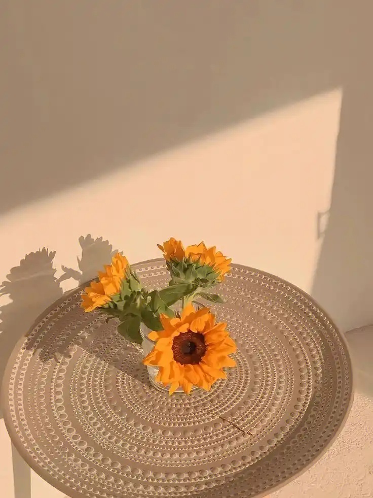 @zzcseo+2025最新蜘蛛池_精准应答云服务_集群部署版v462.529pc版N40.24.25下载